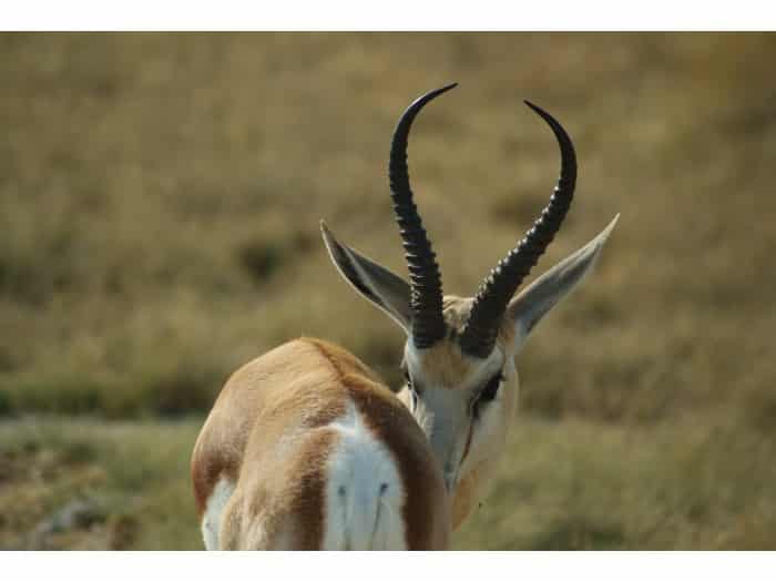 namibia viaje organizado