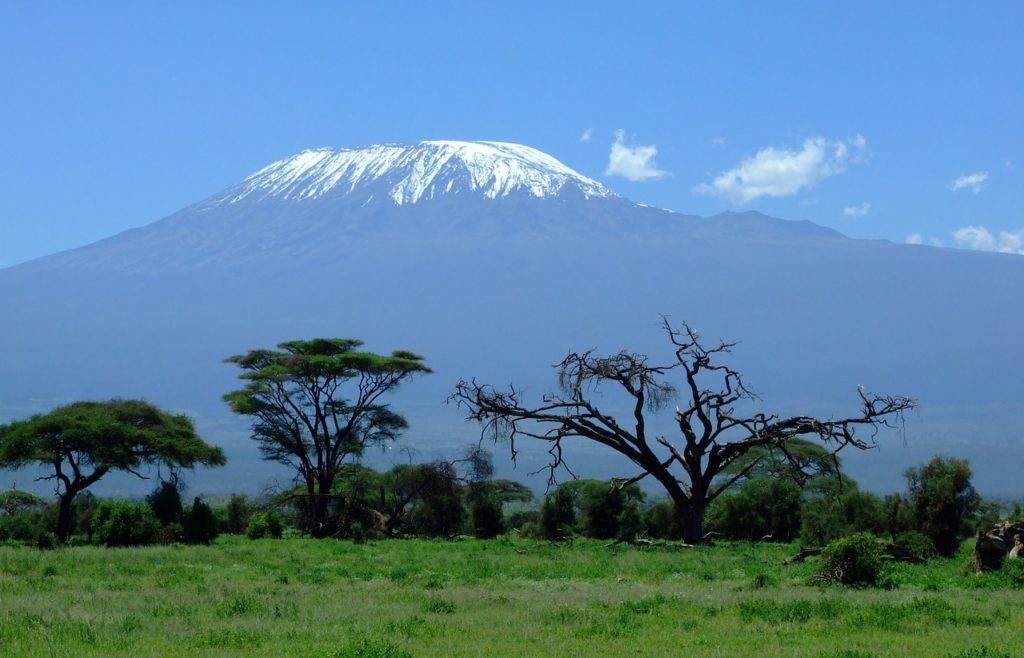 kilimanjaro safari en Africa