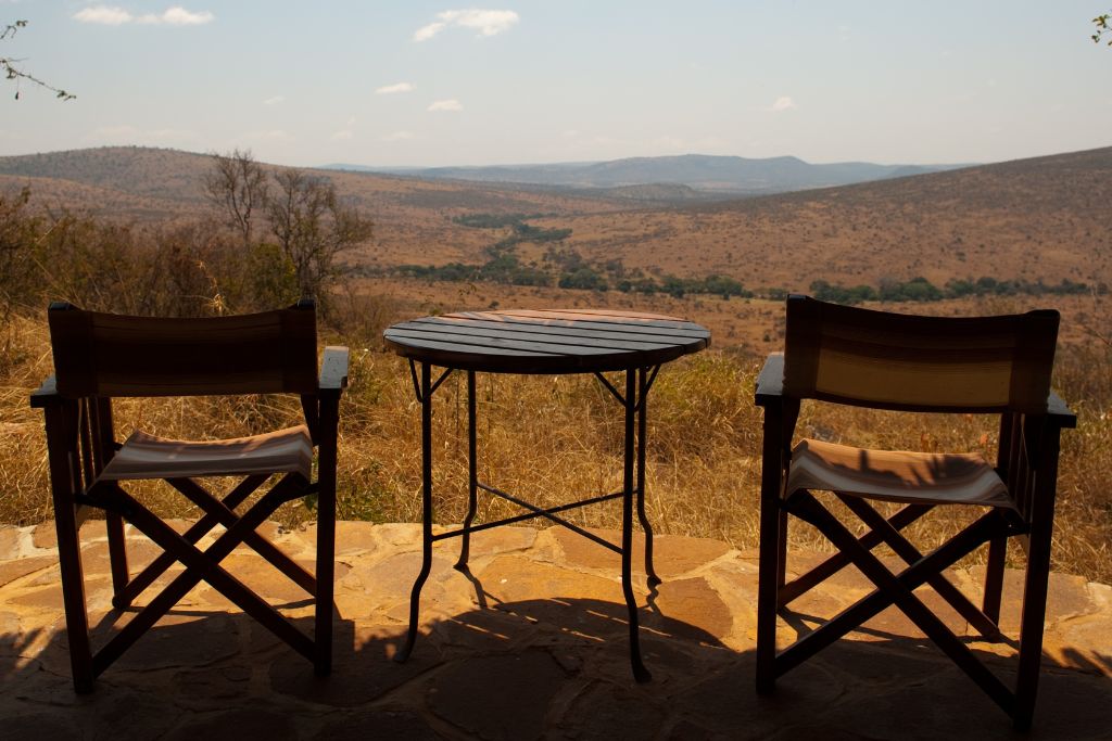 safari en tanzania leon ()