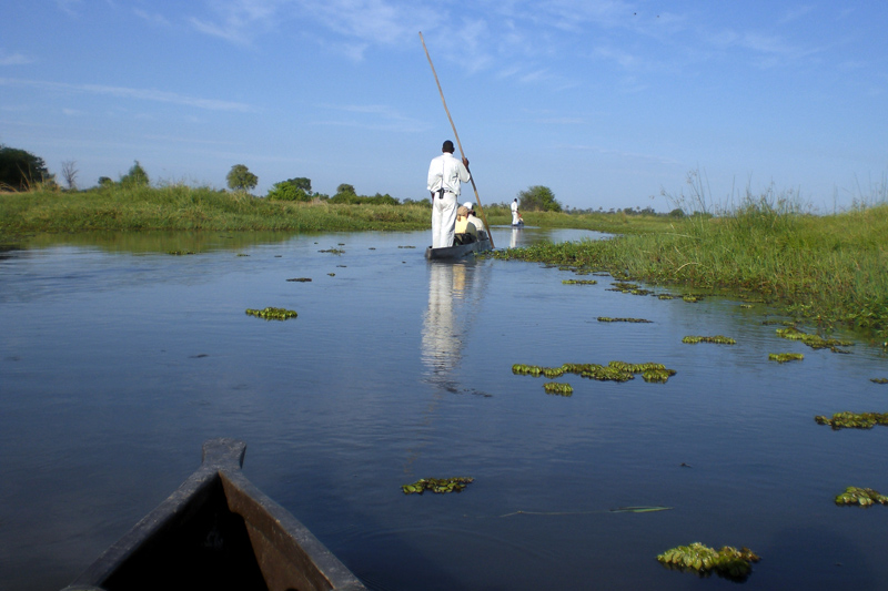 Traversing the Okavango in makoros JPG