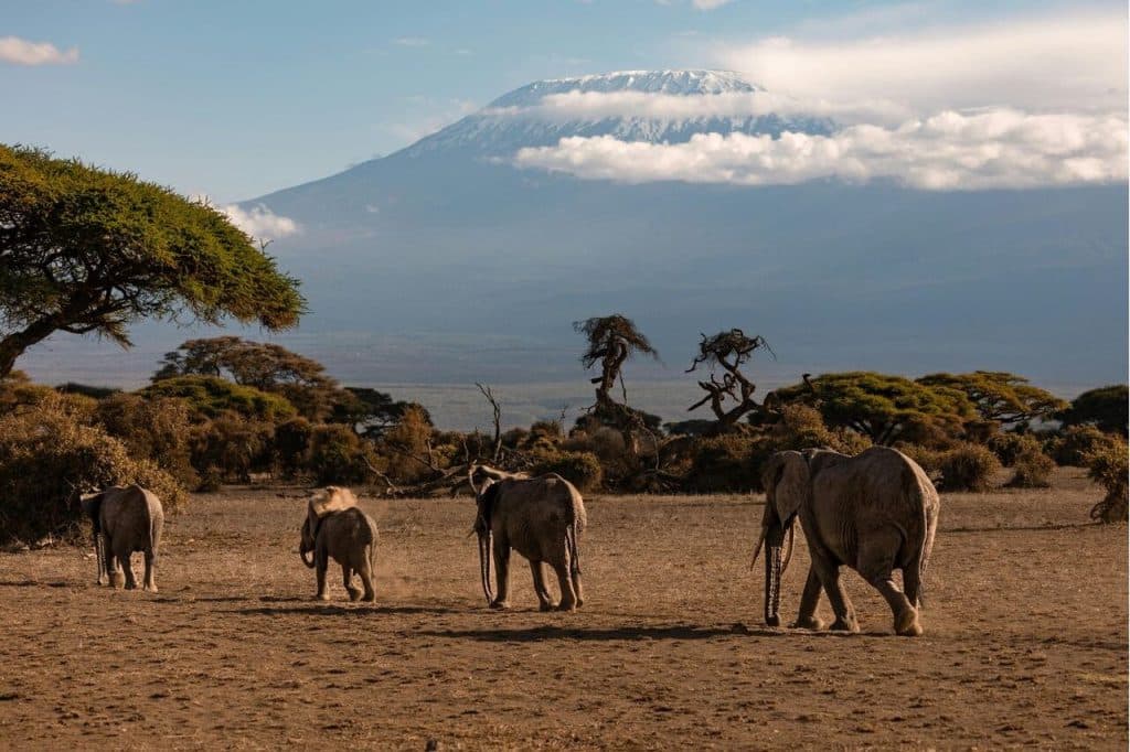 foto tanzania Easy Resize com